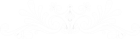 element element
